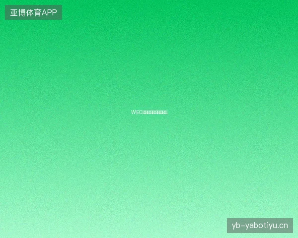 WEC圣保罗六小时宝马夺冠